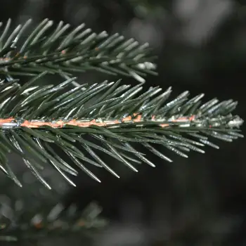 Nuevo Año Nuevo árbol de Navidad artificial de pino abeto Alpino sin conos PE 150/180/220/250/270/300 cm