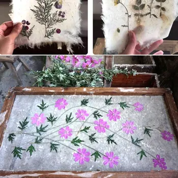 DIY Secado de la Fibra de la Morera de Papel Prensado Natural de Hojas de Flores hechas a Mano un Kit de