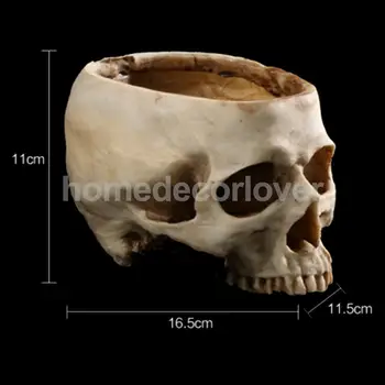 Cráneo Humano Diseño De La Cabeza De La Maceta, Maceta Contenedor De Casa De Réplica De La Barra De Decoración